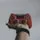 Cod